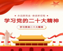 踔厲奮發(fā) 勇毅前行 —學(xué)習貫徹黨的二十大精神主題團日活動(dòng)